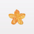 Hawaiian hair clips - 1 hairclip
