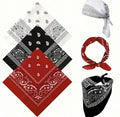 Paisley print y2k scarf
